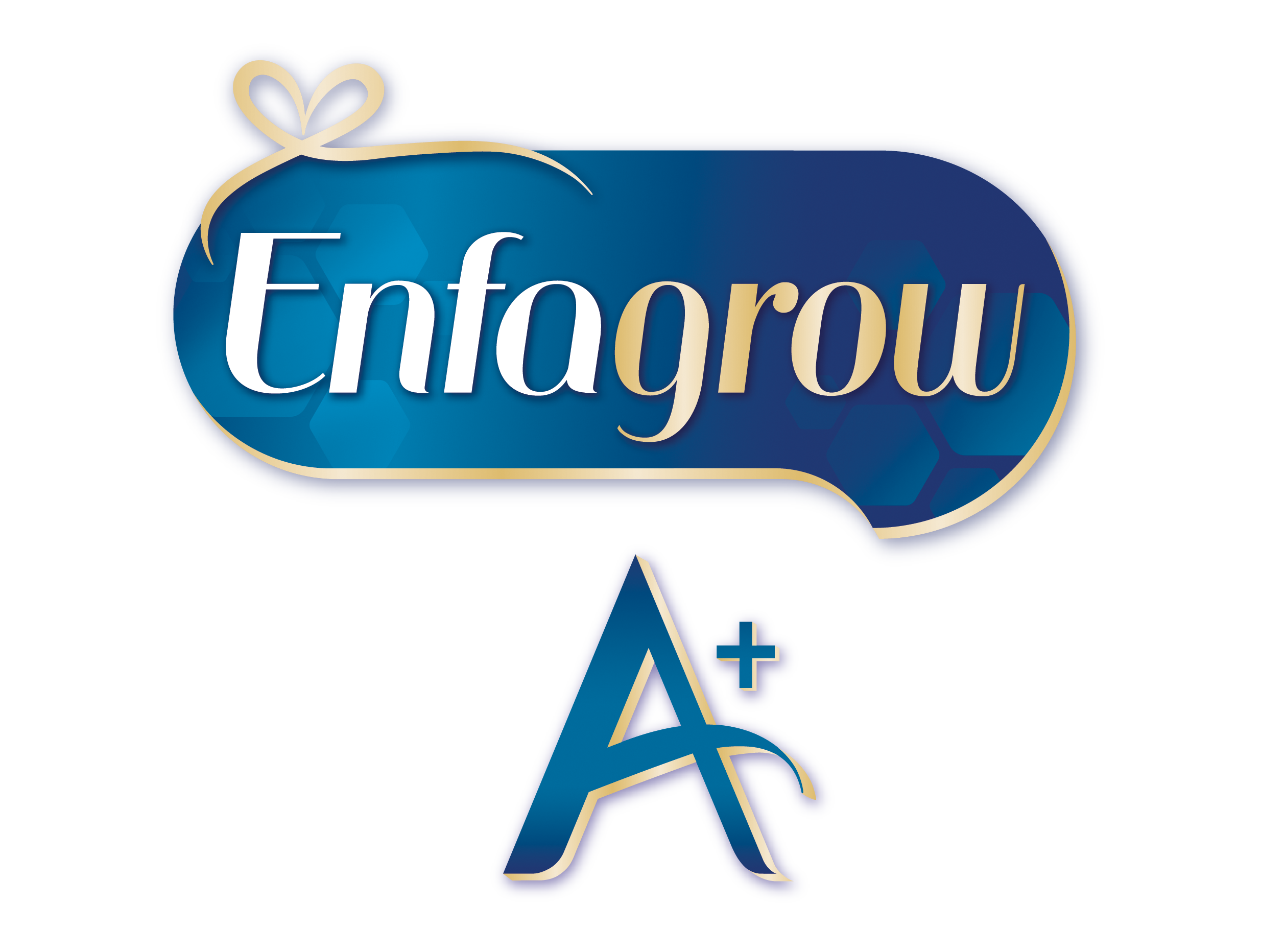 logo enfa